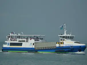Ferry Ferry